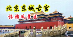 嫩艹网中国北京-东城古宫旅游风景区